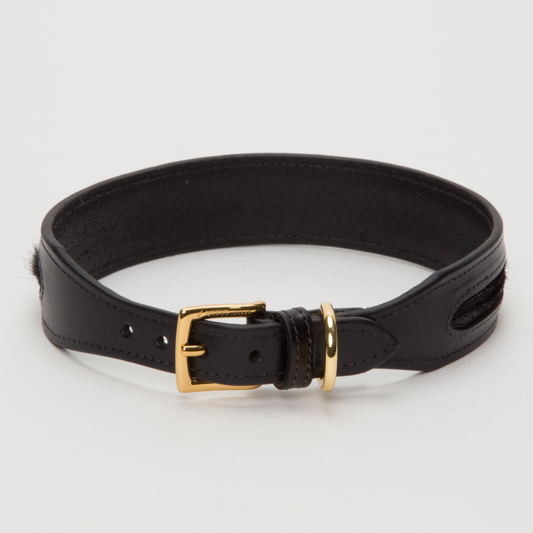 Luxury Racing Green SpringBok Cases In Leather for Medium to XLarge Puppies Dogs – SpringBok Leather Collar