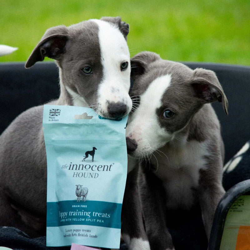 Puppy Training Treats - Lamb with Yellow Split Pea