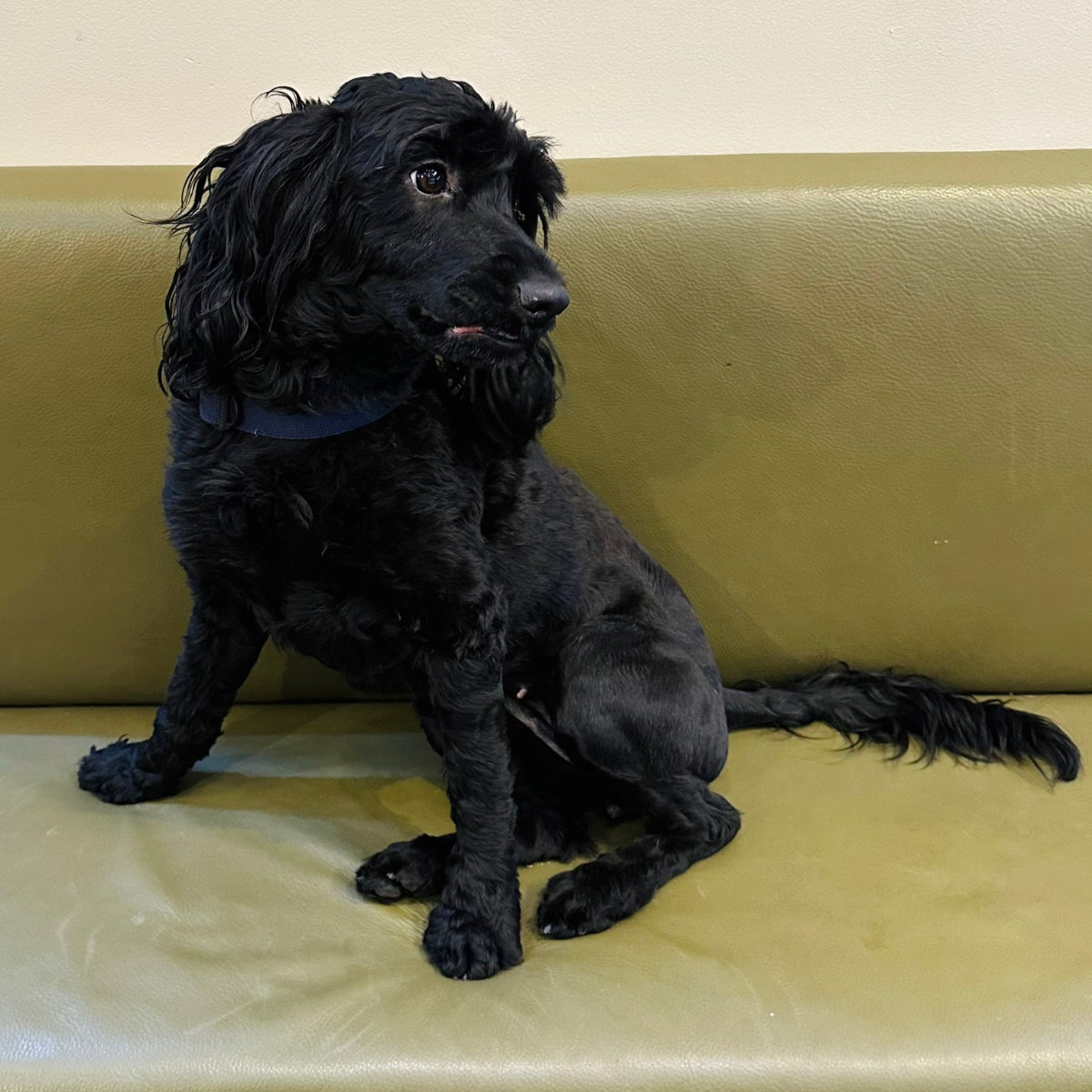 Donation to Second Chance