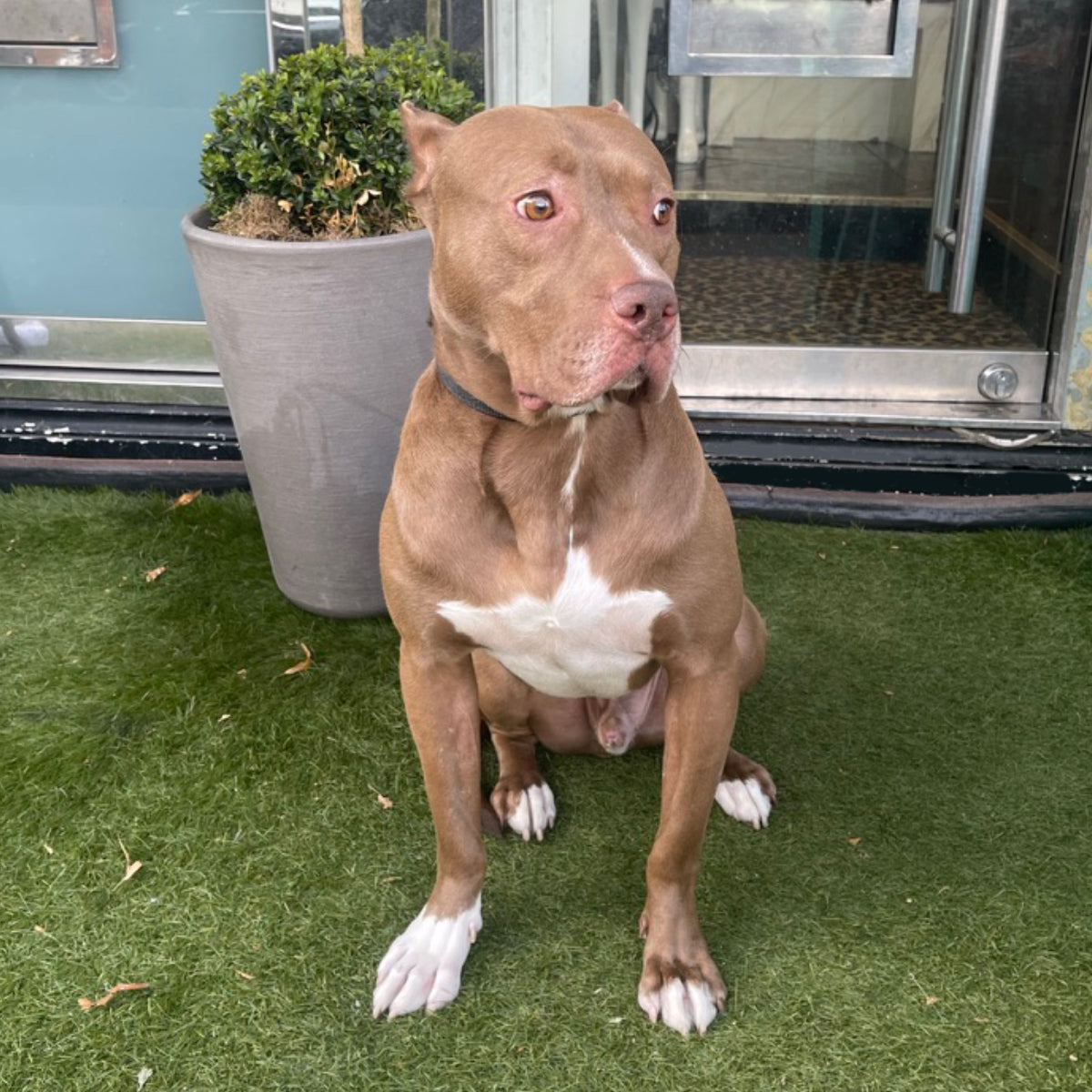 Donation to Second Chance