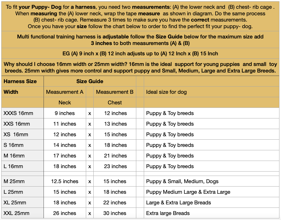 Multi-Functional Training Lead & Harness Set