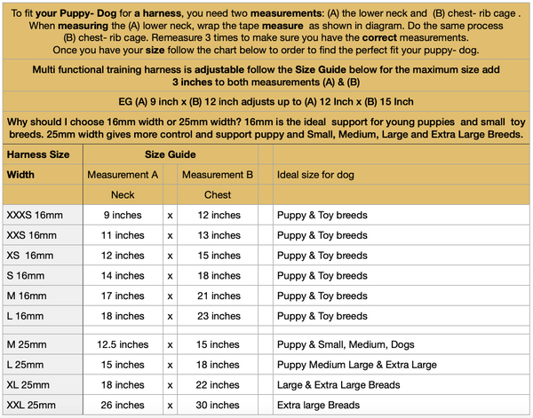 Multi-Functional Training Lead & Harness Set