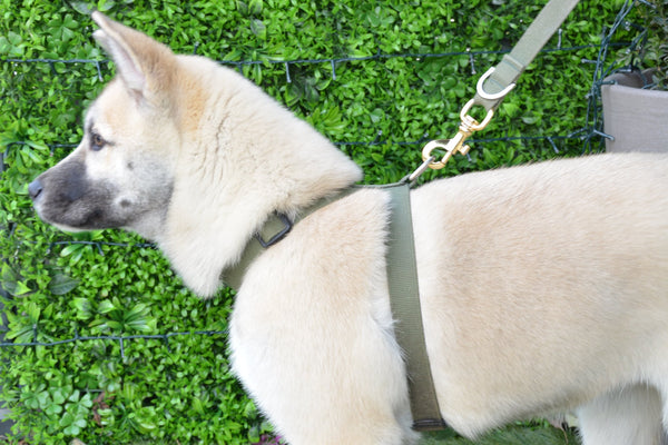 Verve Multi-functional Training Harness