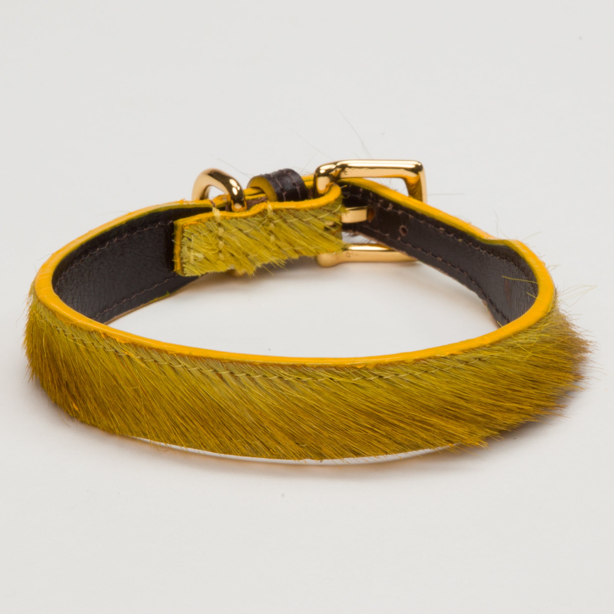 Luxury Mustard Yellow SpringBok Collar for Medium Dogs – SpringBok Leather Collar