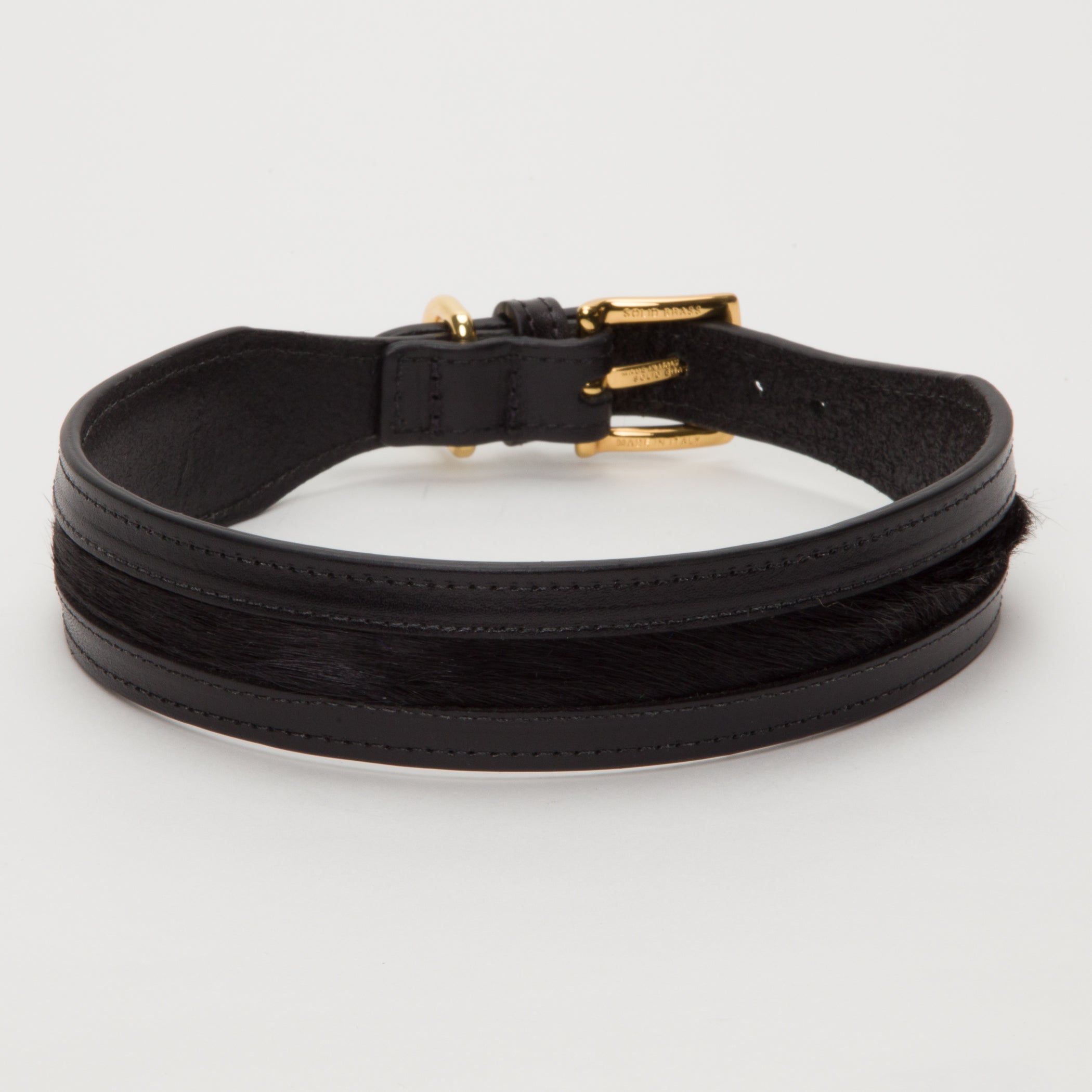 Luxury Mustard Yellow SpringBok Cases In Leather for Large Dogs – SpringBok Leather Collar