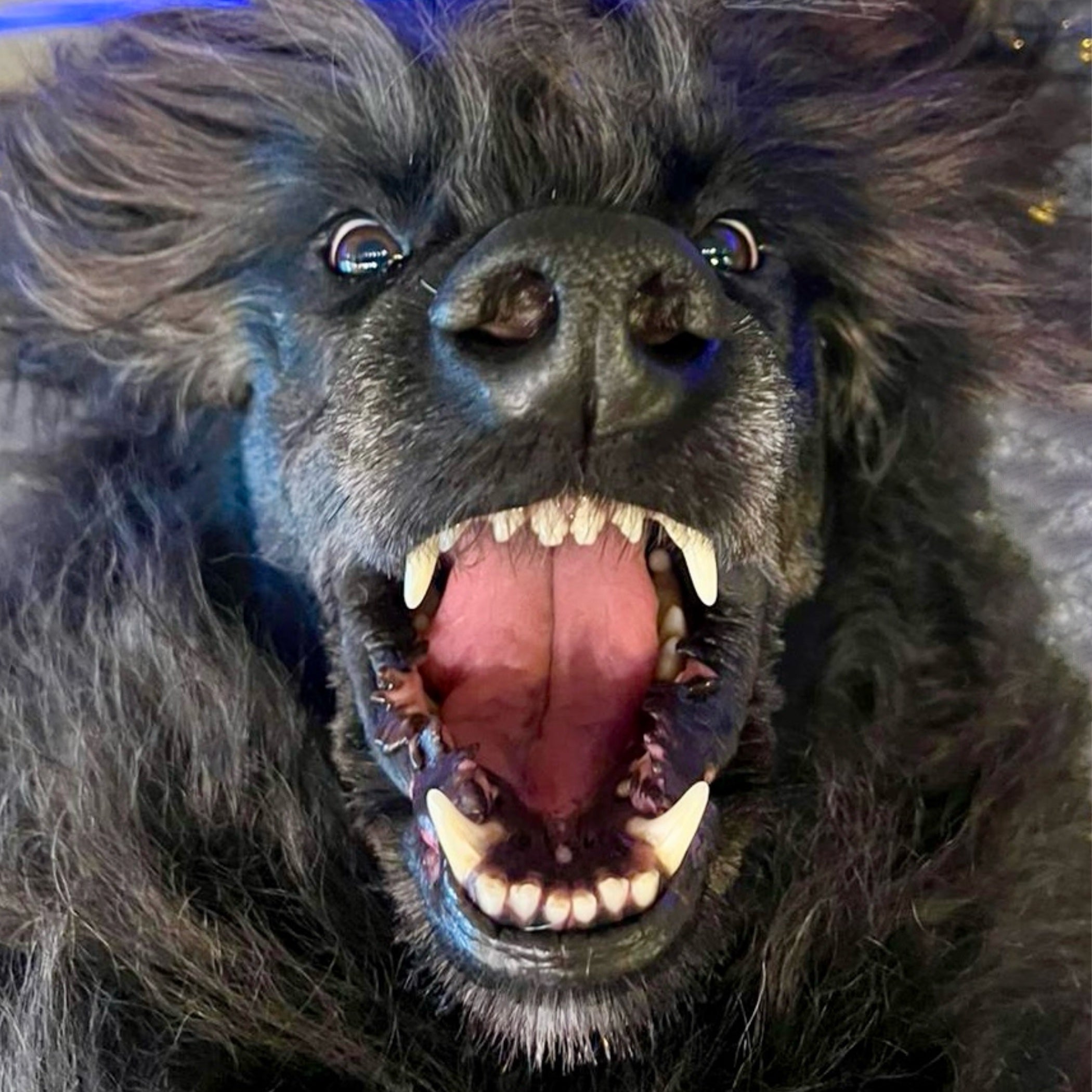 Teeth Descaling Cleaning and Polish