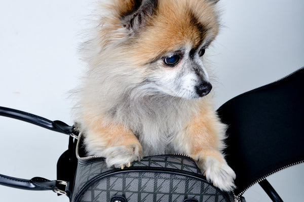 Luxury Dog Travel Bag