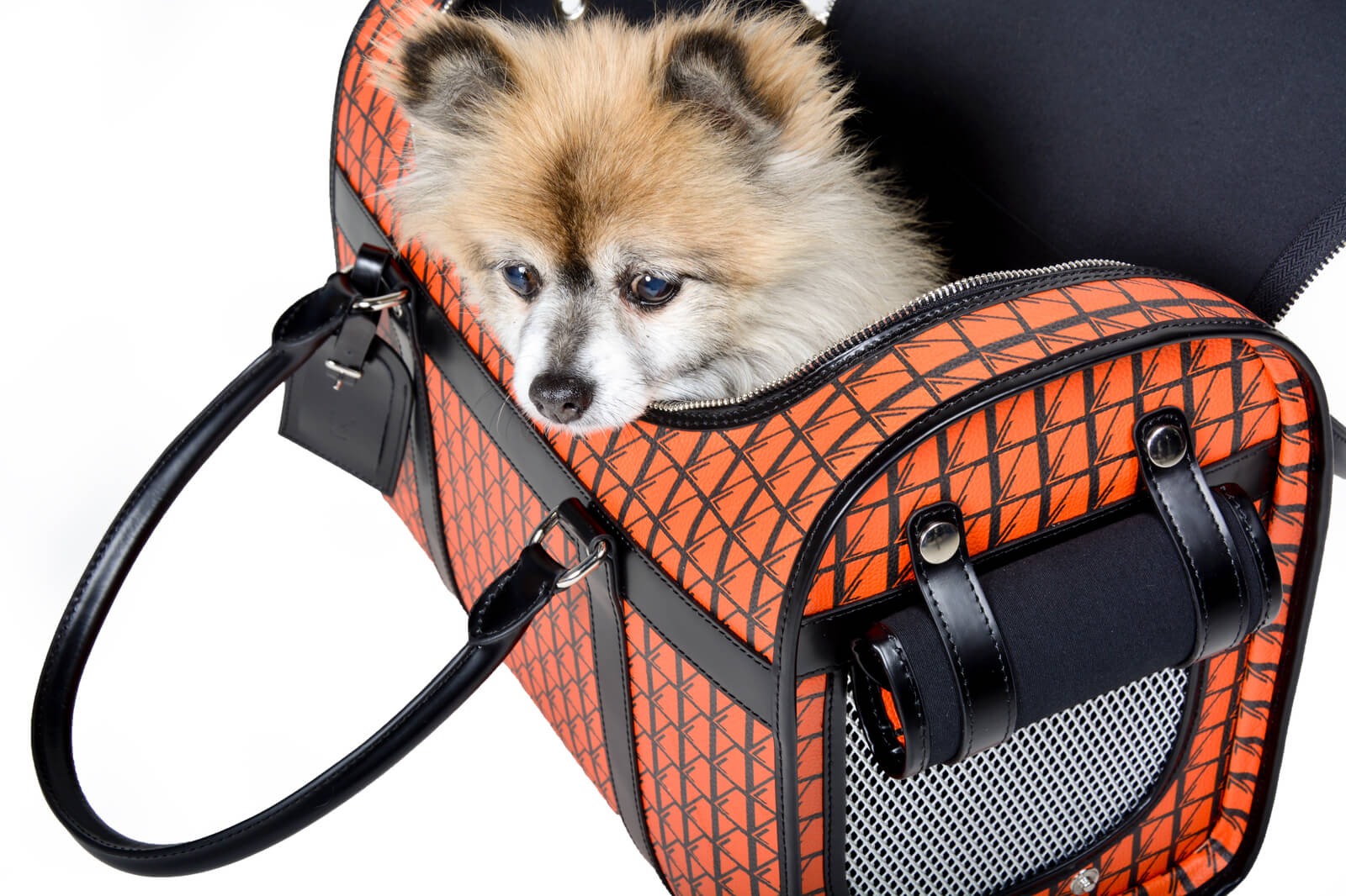 Luxury Dog Travel Bag